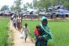 Myanmar reaps the benefit of abandoned Rohingya land