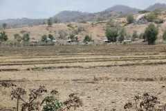 Farmers struggle with severe drought in Timor-Leste