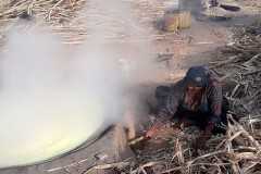 Pakistani sugarcane farmers: Between a crop and a hard place