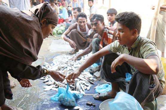 Rohingya start businesses to survive refugee camps