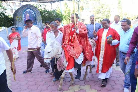 Indian priest rides on donkey to enforce Palm Sunday message