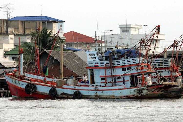 A fishy industry for migrants in Thailand