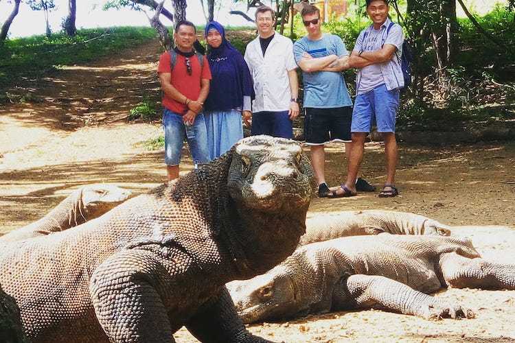 Komodo dragons draw tourist dollars, but not for locals 