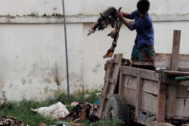Bangladeshi tanneries continue to pollute