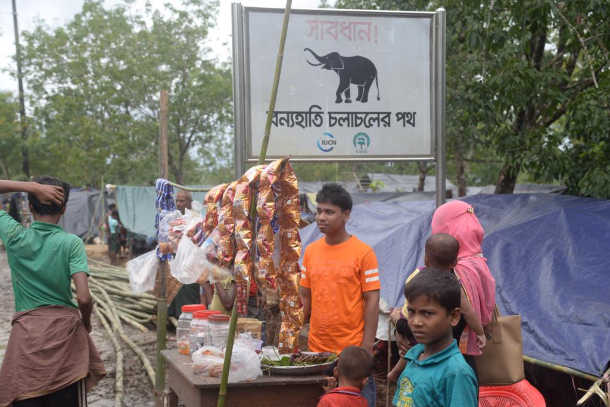 Rohingya refugees amid human-elephant conflict