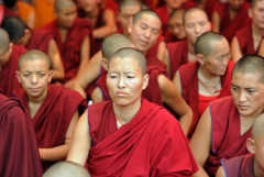 China waging 'sexual abuse campaign' against Tibetan nuns