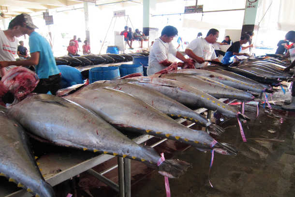 Nuns honor tuna catchers in southern Philippines city