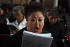 Chinese official decries foreign religious meddling