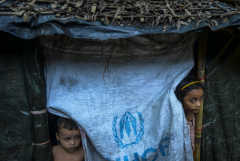 Citizenship still the stumbling block for Rohingya repatriation