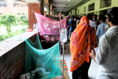 Hospitals struggle as Bangladesh battles dengue