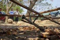 UN plea over children after two die in Rakhine conflict