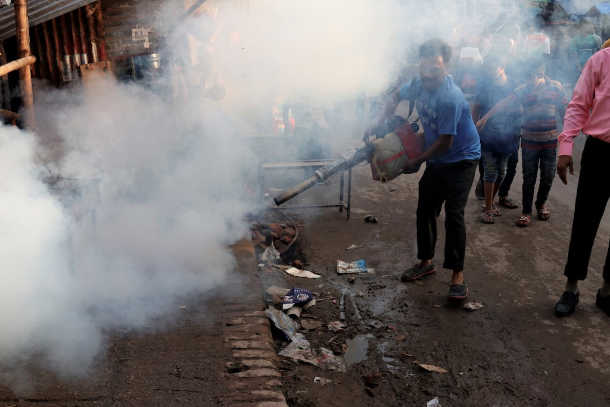 After Covid-19, Bangladesh faces dengue threat - UCA News