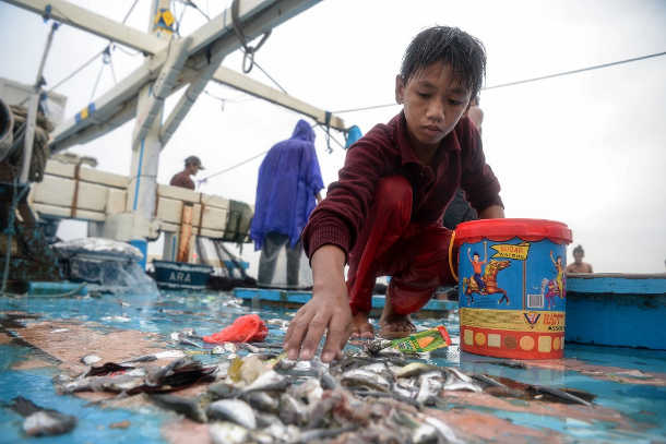 Philippine diocese donates fish to homeless - UCA News