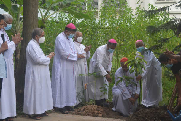Church to plant 400,000 trees in Bangladesh