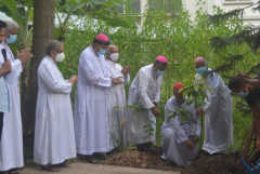 Church to plant 400,000 trees in Bangladesh