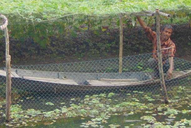 Floating gardeners battle climate change in Bangladesh