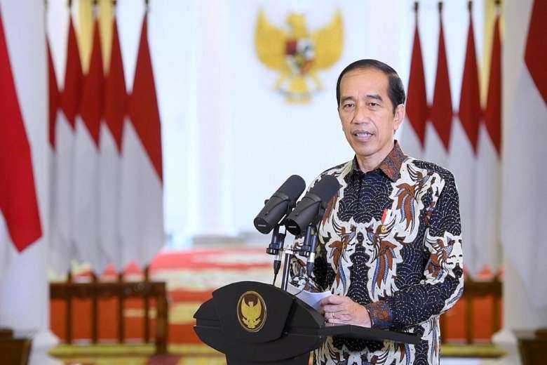 Widodo lays down rules for chemical castration