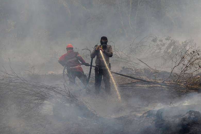 Indonesian province declares 8-month peat fire emergency 