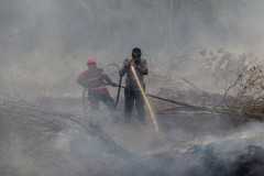 Indonesian province declares 8-month peat fire emergency