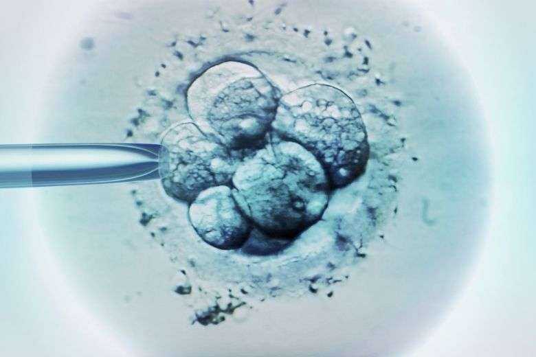 Sydney archbishop forwns at creation of artificial human embryos