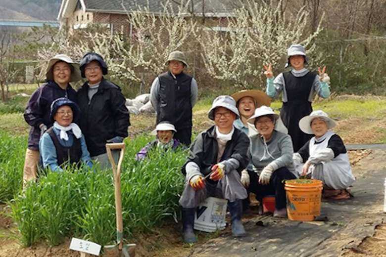 Green-fingered South Korean nuns toil to safeguard creation