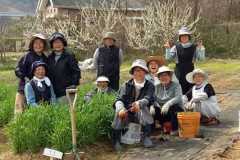 Green-fingered South Korean nuns toil to safeguard creation