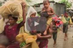 Fears for Rohingya on Bangladeshi island