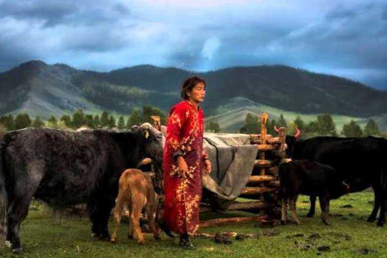 China accused of 'cultural genocide' in Inner Mongolia