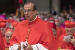 Cardinal calls on world to help save democracy in El Salvador