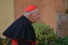 Former US cardinal McCarrick pleads not guilty to sex assaults