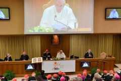 Pope warns that synod could be 'elitist' unless all have a voice