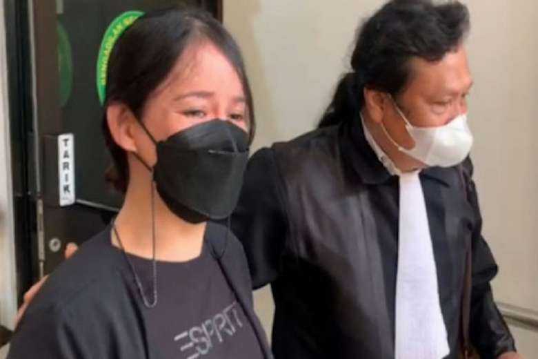 Nagging wife's conviction sparks uproar in Indonesia
