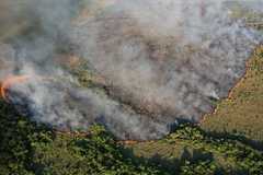 Caritas seeks funds as wildfires devastate Argentina