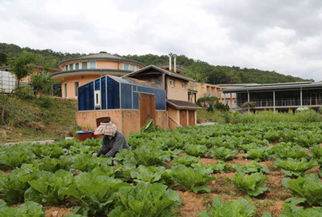 The Sisters of Notre Dame in South Korea's Incheon use organic farming methods and an eco-friendly lifestyle