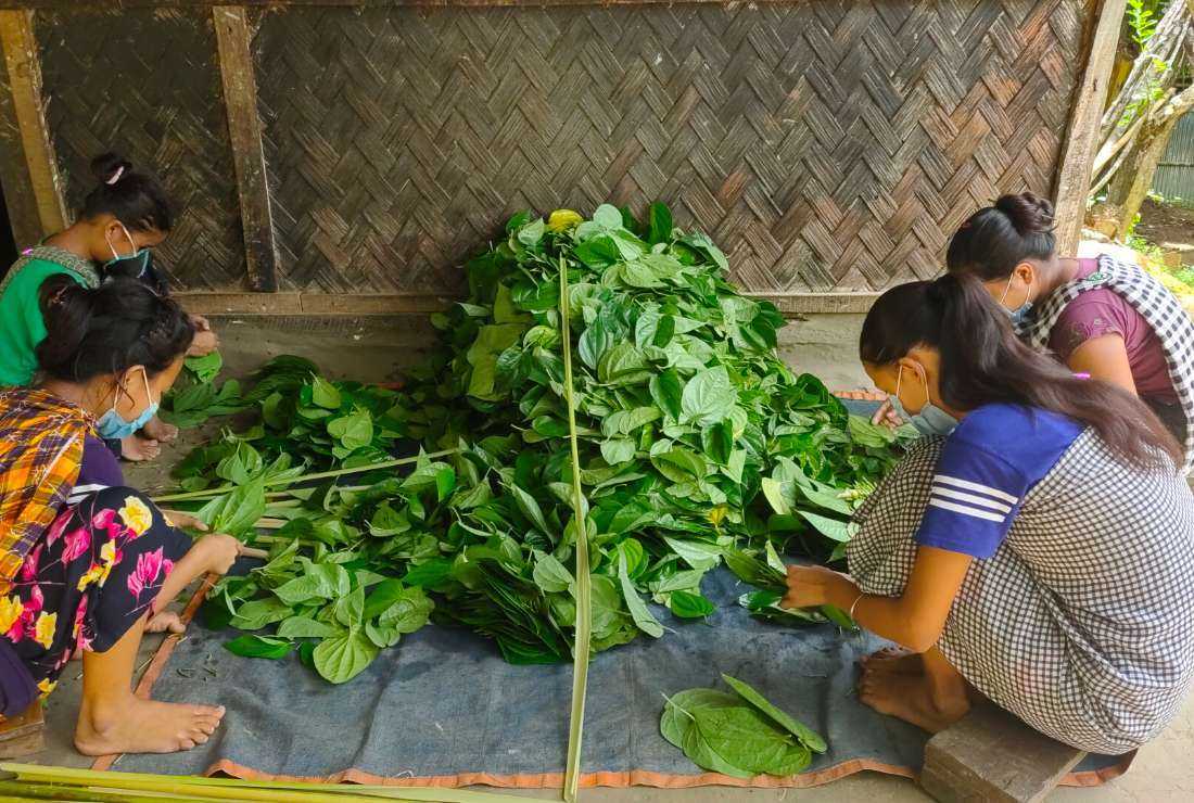 Tribal Khasi women sort betel leaves at a village in Moulvibazar district of Bangladesh