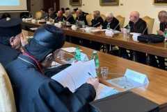 Regional representatives discuss synod with pope