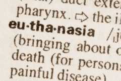 Euthanasia an 'incredibly slippery slope' in the West