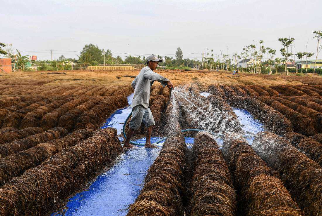 This photo taken on Feb. 27, 2023 shows a farmer watering straw used to grow mushrooms in Can Tho. Rice — Asia's principal staple — is to blame for around 10 percent of global emissions of methane, a gas that over two decades traps about 80 times as much heat as carbon dioxide