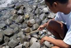 Philippine fishermen struggle as oil spill spoils catch