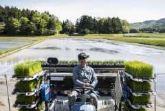 Japan is reshaping agriculture with technology