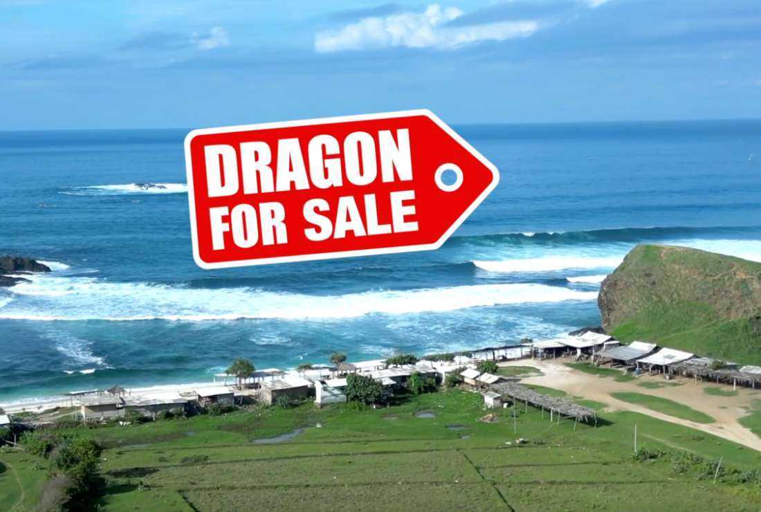 A screengrab of the documentary film, Dragon for Sale