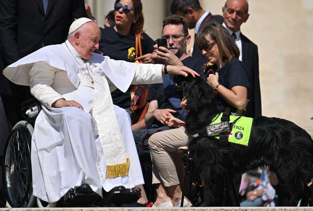Pope Francis pats an epilepsy alert and response dog during his weekly general audience at St. Peter's Square in the Vatican on May 31