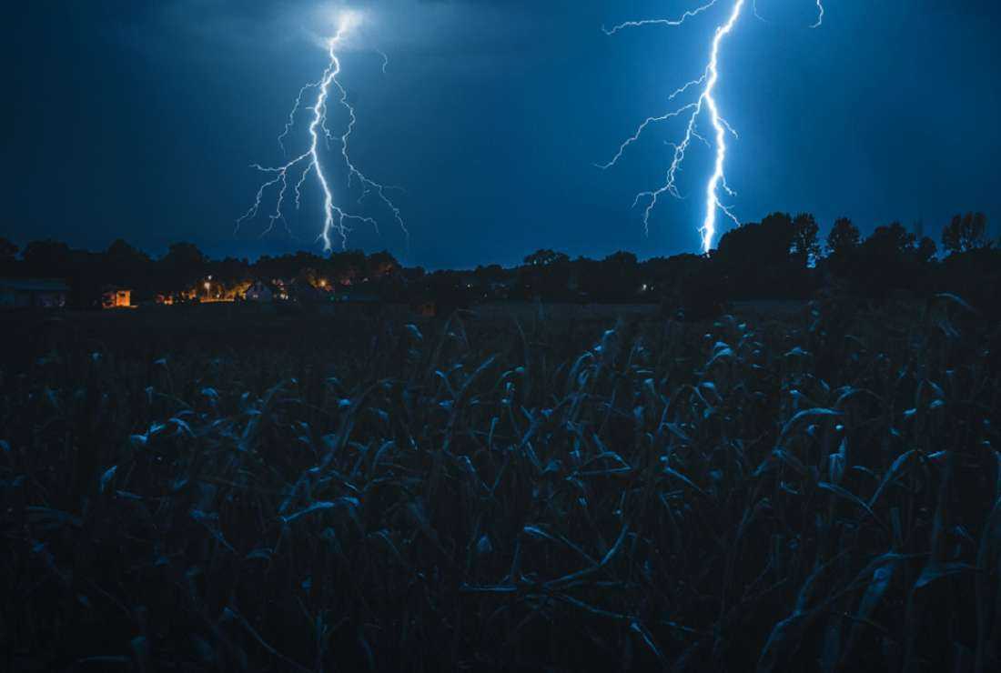 'Lightning season' claims 133 lives in Bangladesh - Vimarsana News
