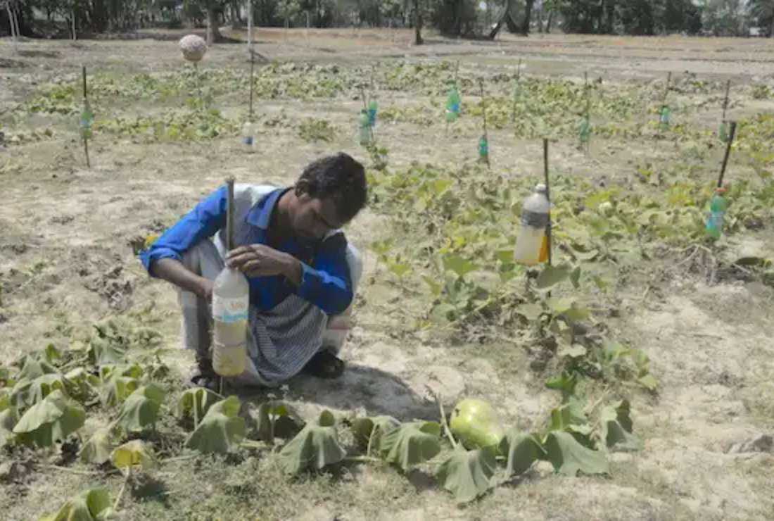 Bangladeshi farmers pay price for climate change - UCA News