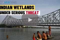 Destruction of Kolkata wetlands threatens millions of Indians
