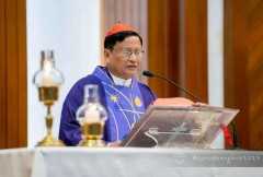 Myanmar's Cardinal Bo calls for ecological justice