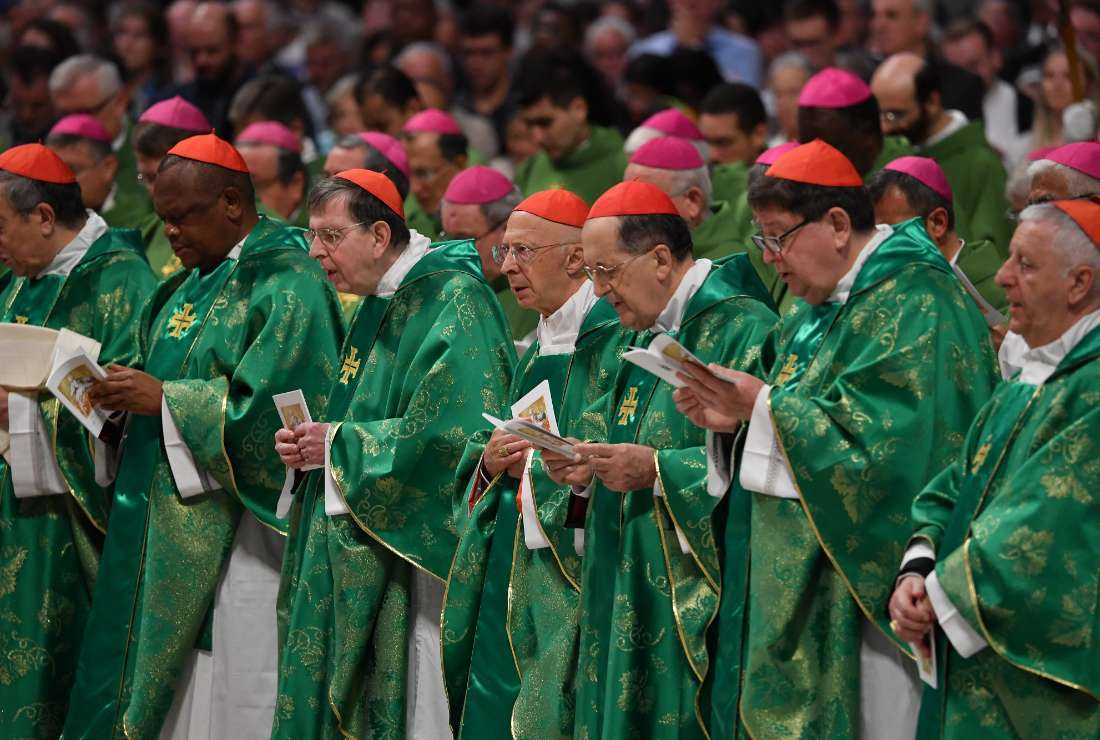 Cardinals attend the closing mass of the Synod on Amazonia on Oct. 27, 2019, at the Saint Peter's Basilica in the Vatican.