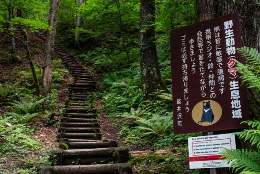 This photo taken on July 4 shows a sign warning hikers about bears at Shiraito Falls, north of the resort town of Karuizawa, Nagano prefecture in Japan