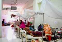 Bangladesh dengue deaths top 1,000 in worst outbreak