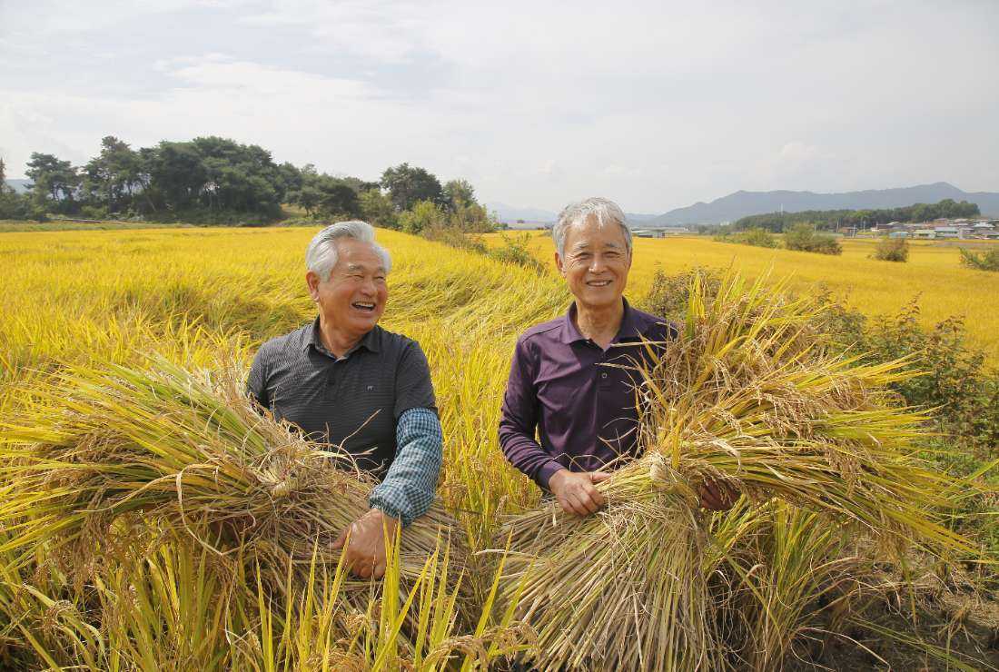 Korean Catholic organic farmers Paul Jung Won-hae (left) and Isidore Ahn Hee-moon are seen in their farmland in Andong of South Korea in this undated image 